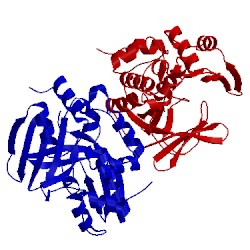 Image of CATH 4nv8