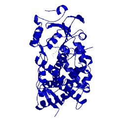 Image of CATH 4ny4