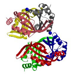 Image of CATH 4nyp