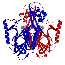 Image of CATH 4nzv