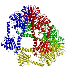 Image of CATH 4o01