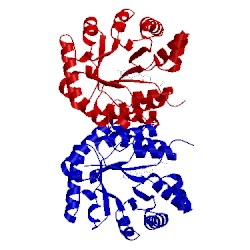 Image of CATH 4o1e