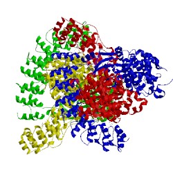 Image of CATH 4o1o