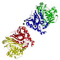 Image of CATH 4o1x