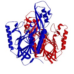 Image of CATH 4o24