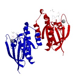 Image of CATH 4o2l