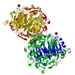 Image of CATH 4o2w