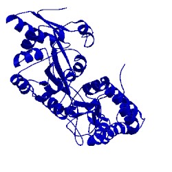 Image of CATH 4o4b