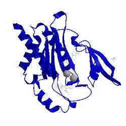 Image of CATH 4o4d