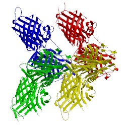 Image of CATH 4o4u