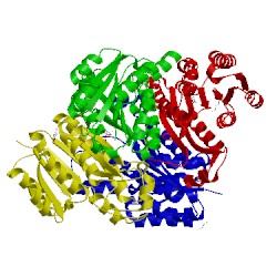 Image of CATH 4o6v