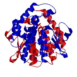 Image of CATH 4o7h