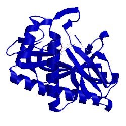 Image of CATH 4o7z