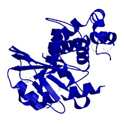 Image of CATH 4o8s
