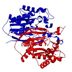 Image of CATH 4o8v