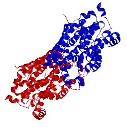 Image of CATH 4oaa