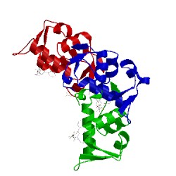 Image of CATH 4oas