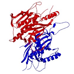 Image of CATH 4ob9