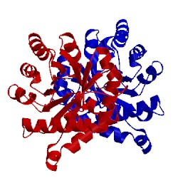 Image of CATH 4obt