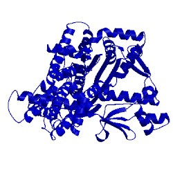 Image of CATH 4oby