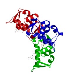 Image of CATH 4occ