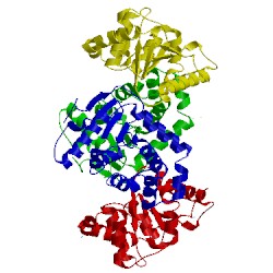 Image of CATH 4ocf