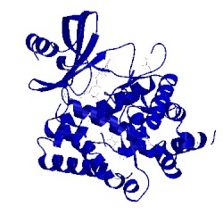 Image of CATH 4ock