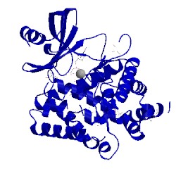 Image of CATH 4ocp