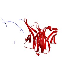 Image of CATH 4ocs