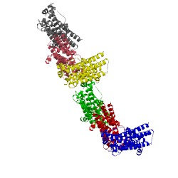 Image of CATH 4od4