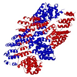 Image of CATH 4oe1