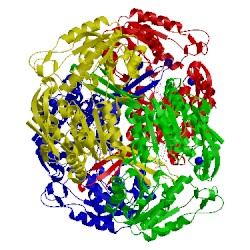 Image of CATH 4oe2