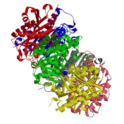 Image of CATH 4oeh