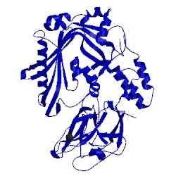 Image of CATH 4oej