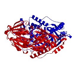 Image of CATH 4oev