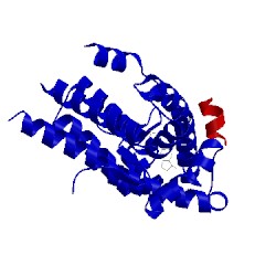 Image of CATH 4oey