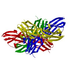 Image of CATH 4of8