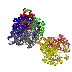 Image of CATH 4ofc