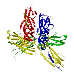 Image of CATH 4ofp