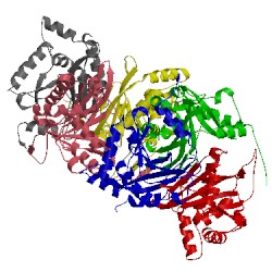 Image of CATH 4ofs