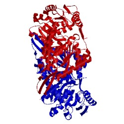 Image of CATH 4ogd