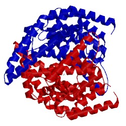 Image of CATH 4ogp