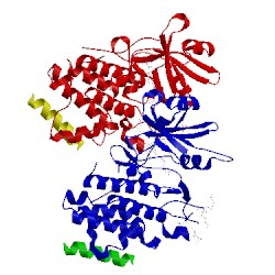 Image of CATH 4oh4