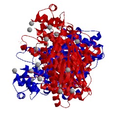 Image of CATH 4oho