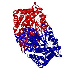 Image of CATH 4oht