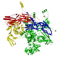 Image of CATH 4oip