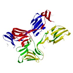 Image of CATH 4oit