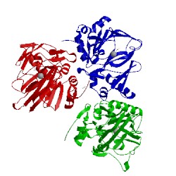 Image of CATH 4oj8