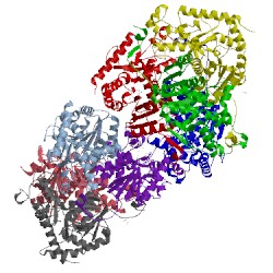 Image of CATH 4ojn