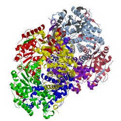 Image of CATH 4okn